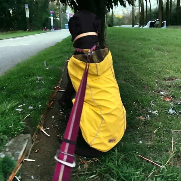 🐾 Dog Raincoat Hooded Poncho Waterproof Slicker, XS - Picture 1 of 9